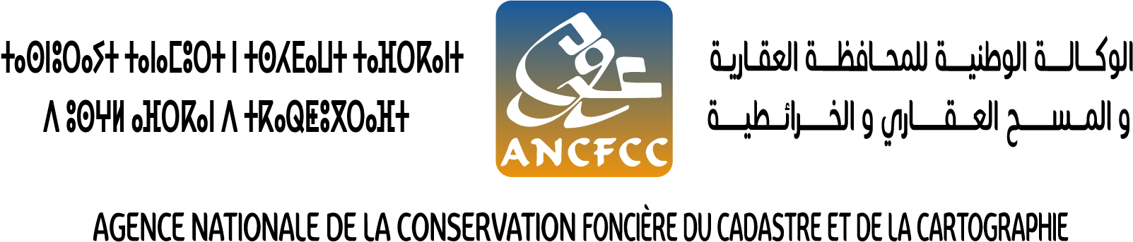 ANCFCC