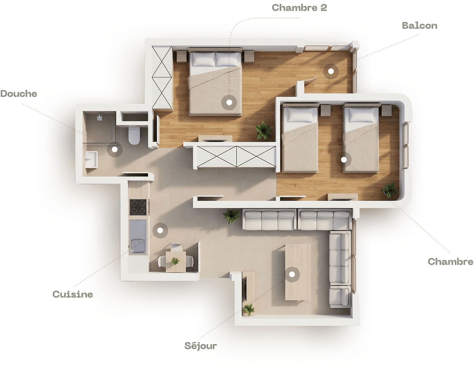Plan STUDIO+ 3D