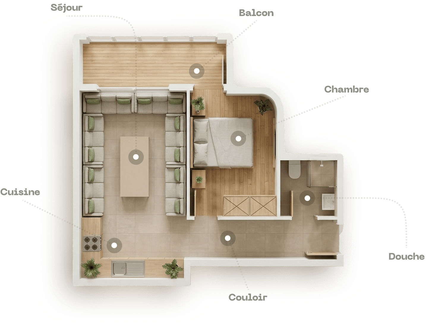 Plan STUDIO 3D